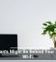 Houseplants Might Be Behind Your Sluggish Wi-Fi