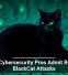 U.S. Cybersecurity Pros Admit Role in BlackCat Attacks