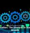 Automation: The Shortcut to Scalable Growth